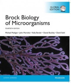 Brock Biology of Microorganisms, Global Edition (Paperback, 14th ...